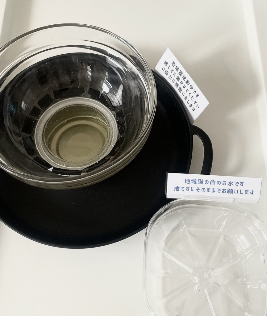 地域猫のためのお願いPOP