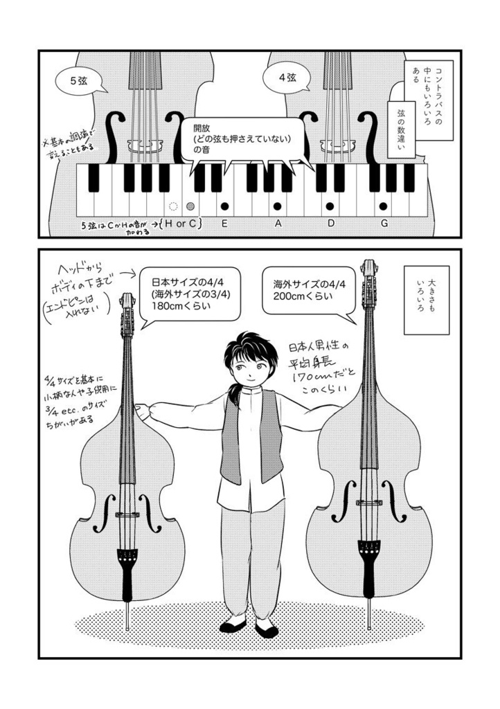 コントラバスもいろいろある