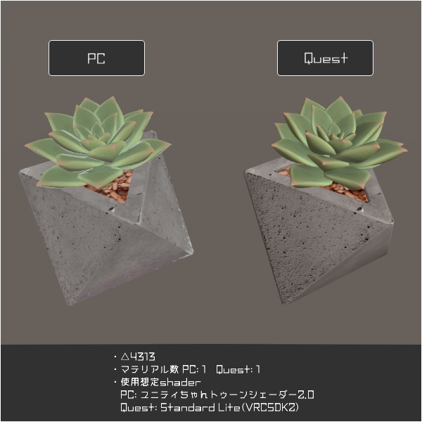 グラプトベリア '薄氷'