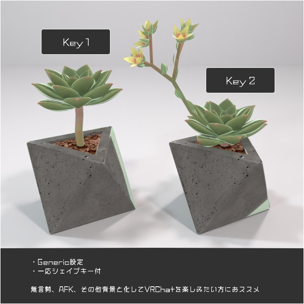 グラプトベリア '薄氷'