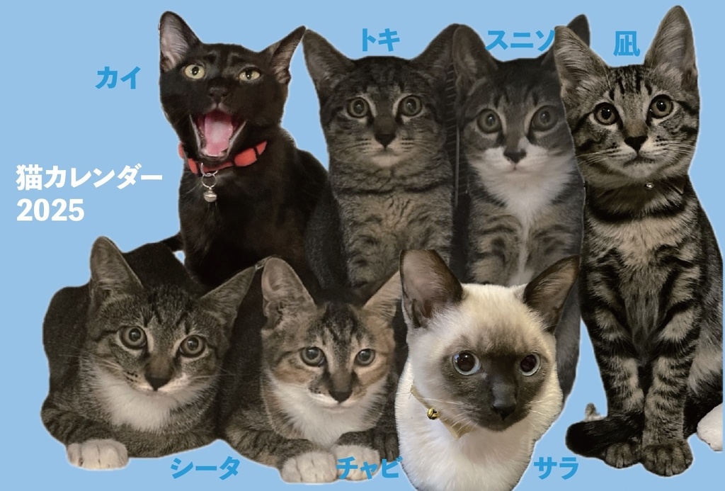 猫カレンダー2025