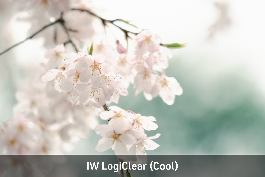 IW Contemporary Film Presets