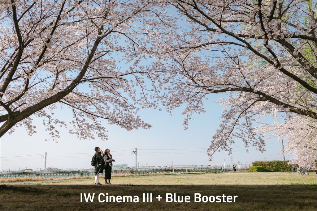 IW Contemporary Film Presets