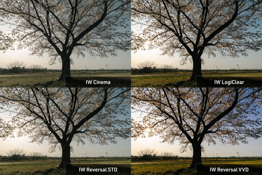 IW Contemporary Film Presets