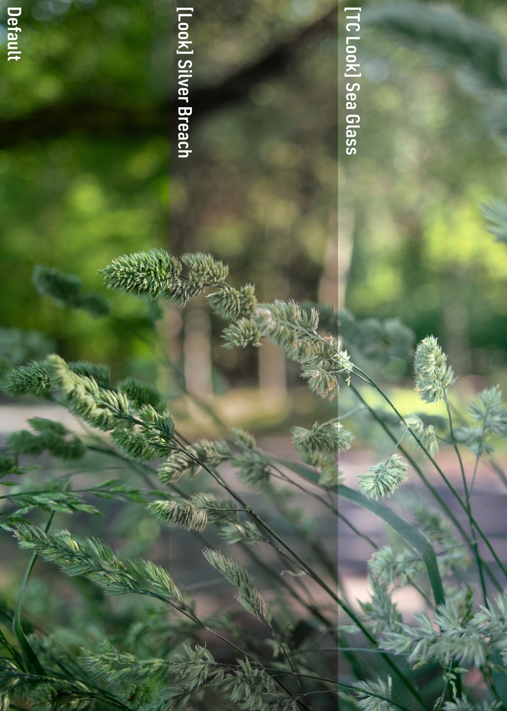 SW Color Profile Collection