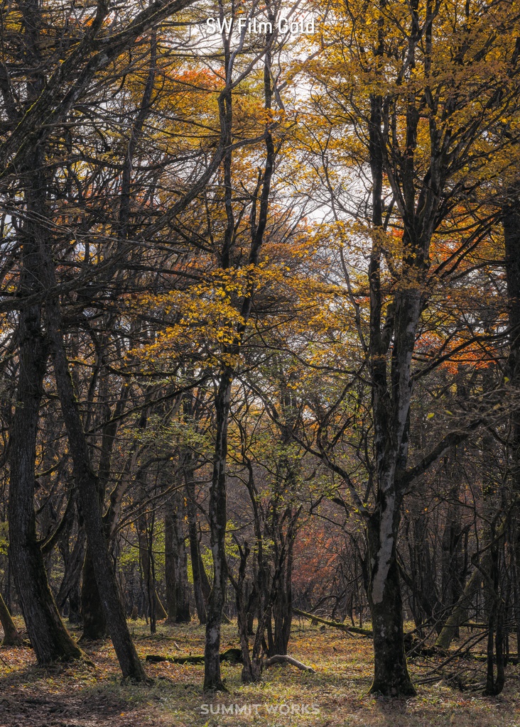 SW Color Profile Collection