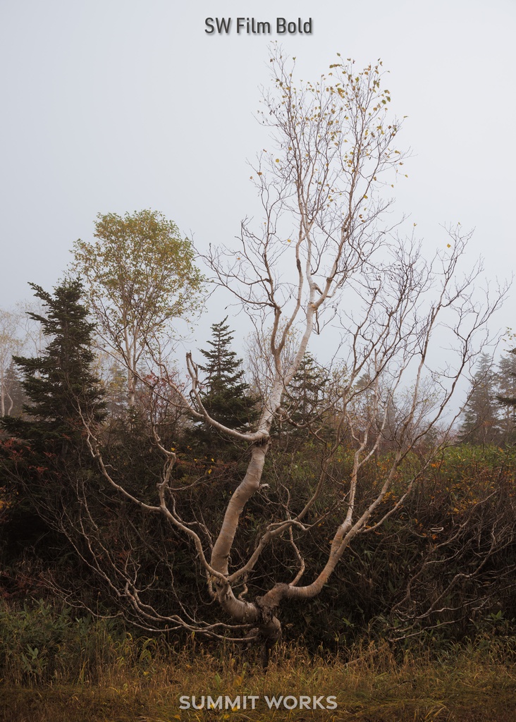 SW Color Profile Collection