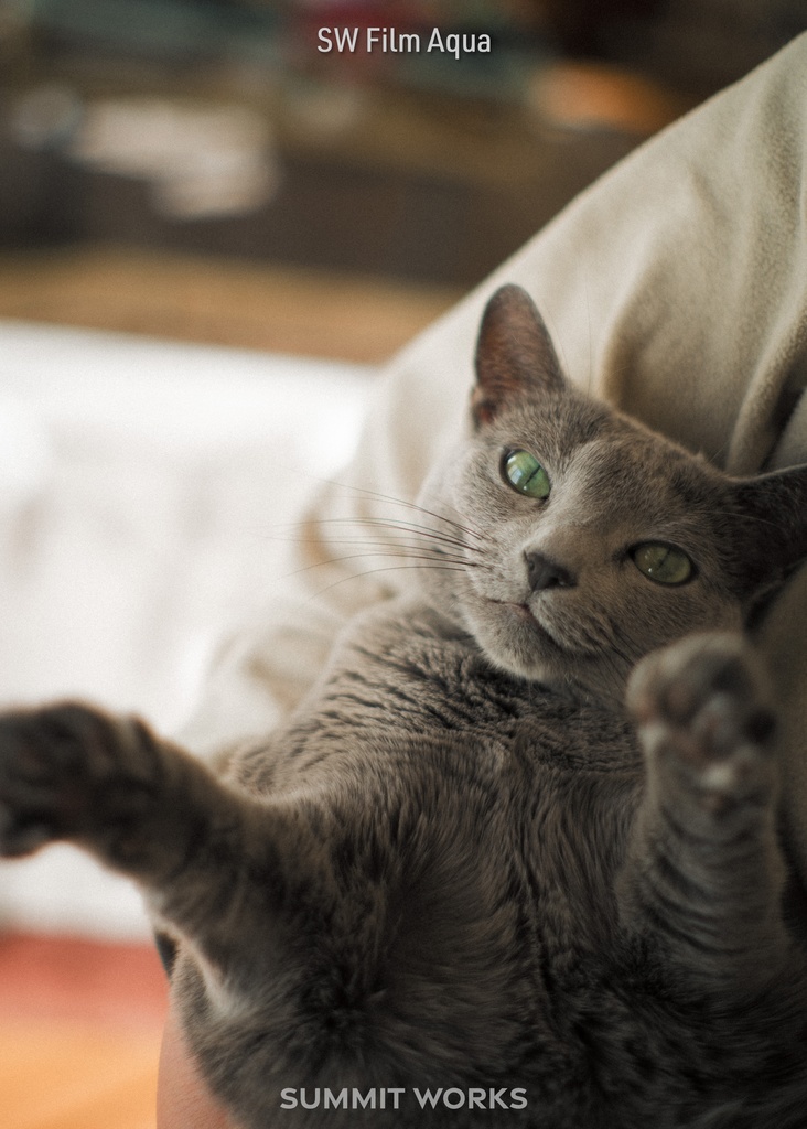 SW Color Profile Collection