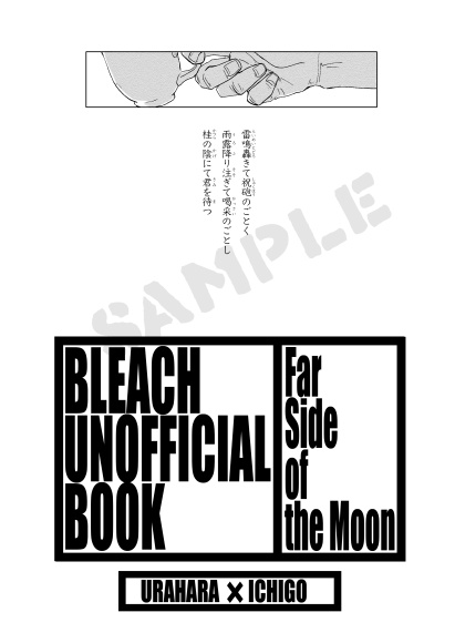 Far Side of the Moon