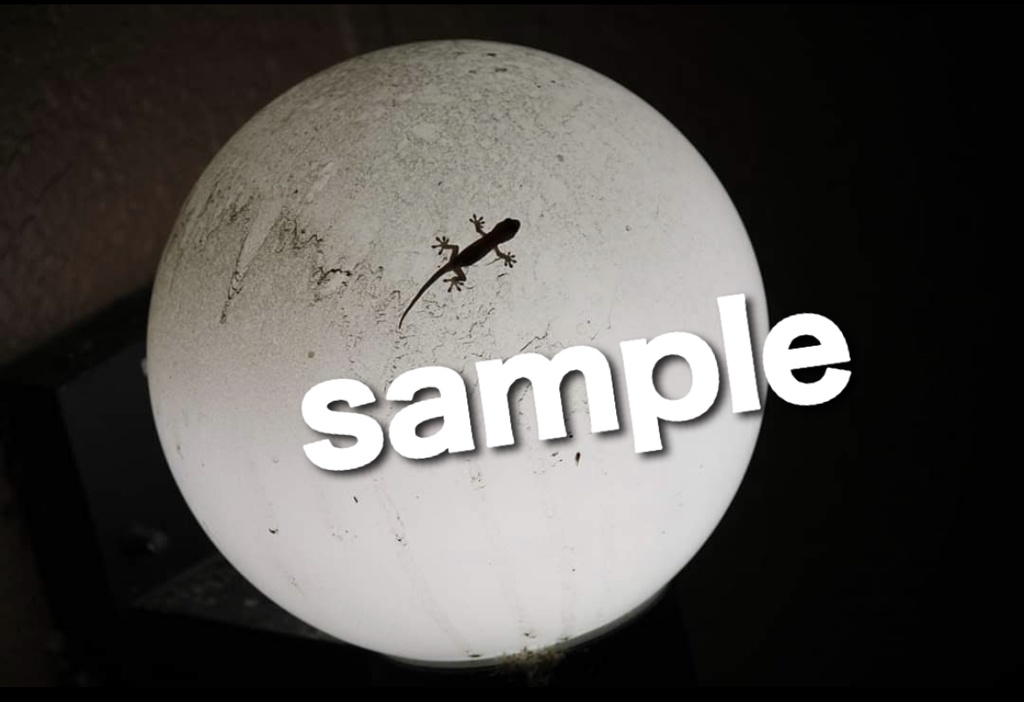 ポストカード(モノクローム)