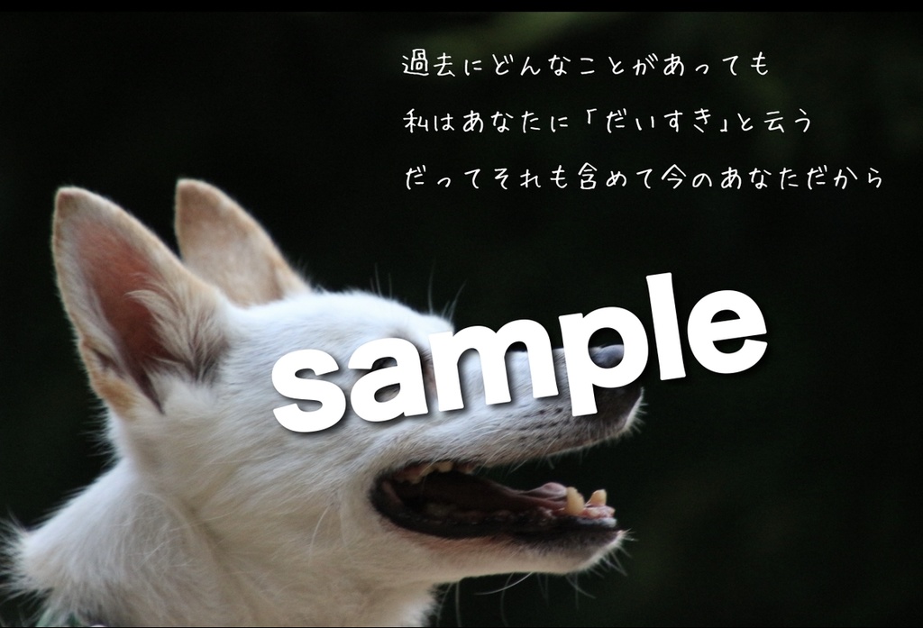 ポストカード(モノクローム)