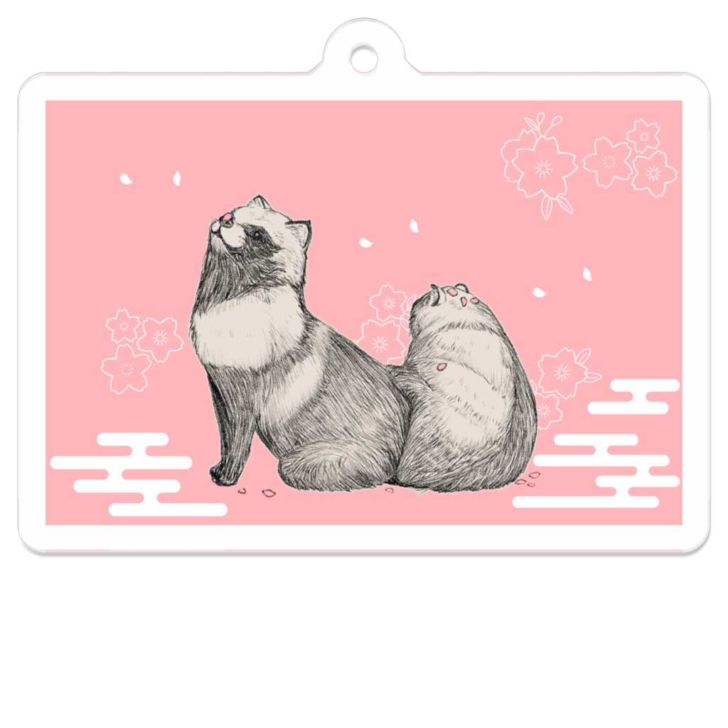 桜タヌキ　アクキー