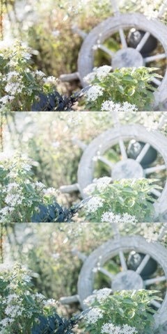 Lightroomプリセット(スマホ版) blue_gray_01・blue_gray_02