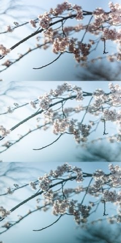 Lightroomプリセット(スマホ版) blue_gray_01・blue_gray_02