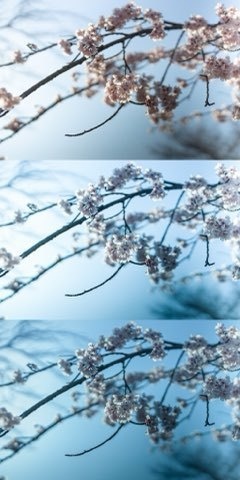 Lightroomプリセット(スマホ版) clear_blue_01・clear_blue_02