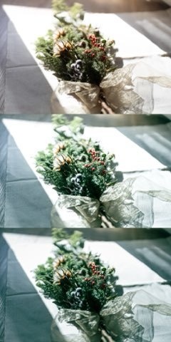 Lightroomプリセット(スマホ版) clear_green_01・clear_green_02