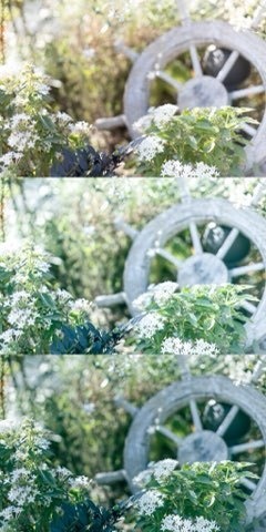 Lightroomプリセット(スマホ版) clear_green_01・clear_green_02