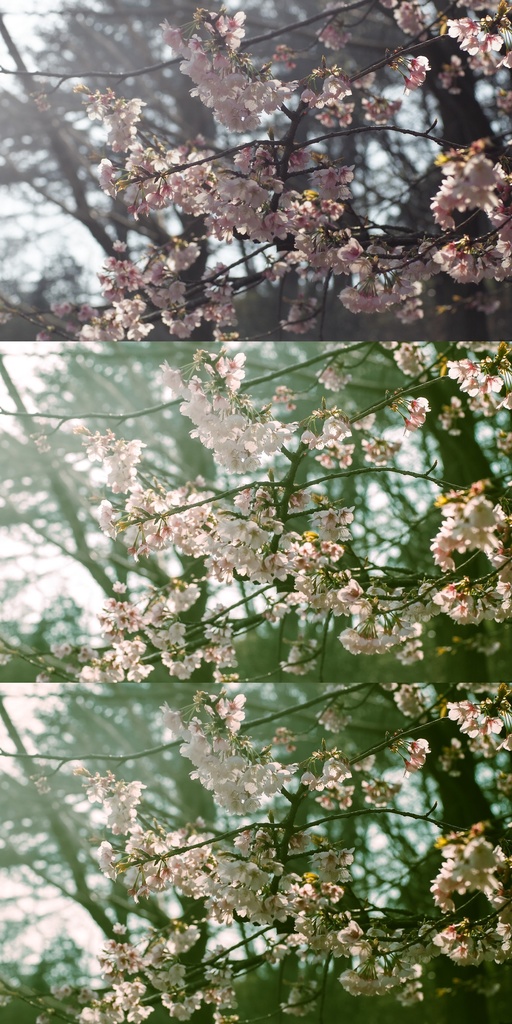 Lightroomプリセット(スマホ版)yg_001・yg_002