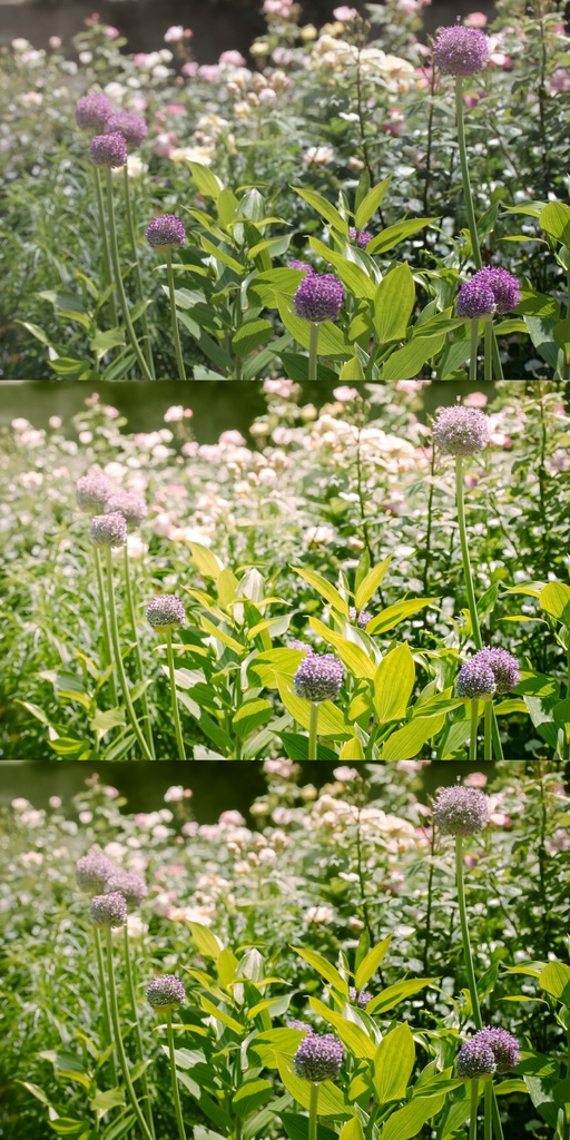 Lightroomプリセット(スマホ版)yg_001・yg_002