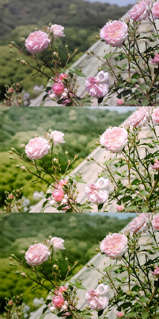 Lightroomプリセット(スマホ版)yg_001・yg_002