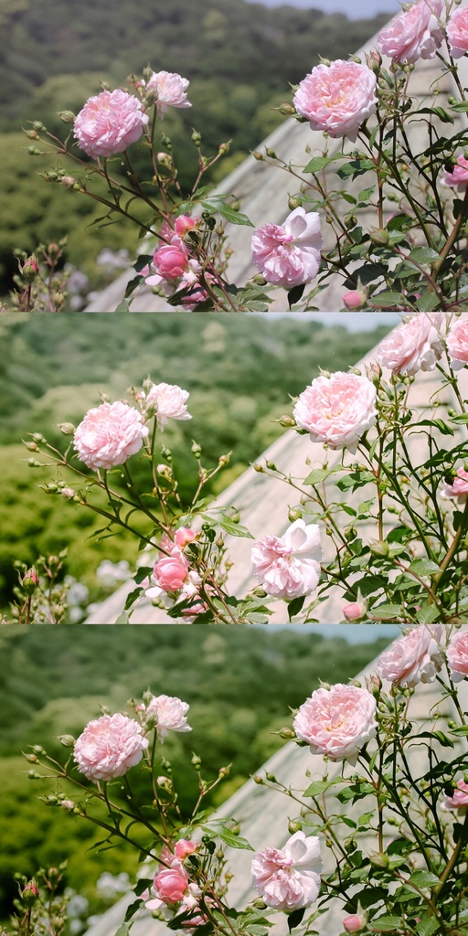 Lightroomプリセット(PC版)yg_001・yg_002