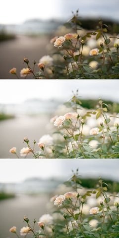 Lightroomプリセット(スマホ版)flower_001・flower_002