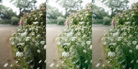 Lightroomプリセット(PC版)flower_001・flower_002