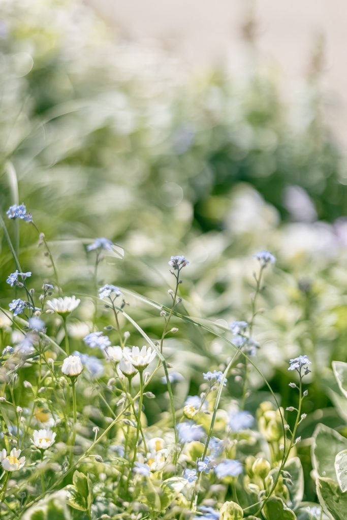 Lightroomプリセット(PC版)3種6個セットyg・001blue・flower