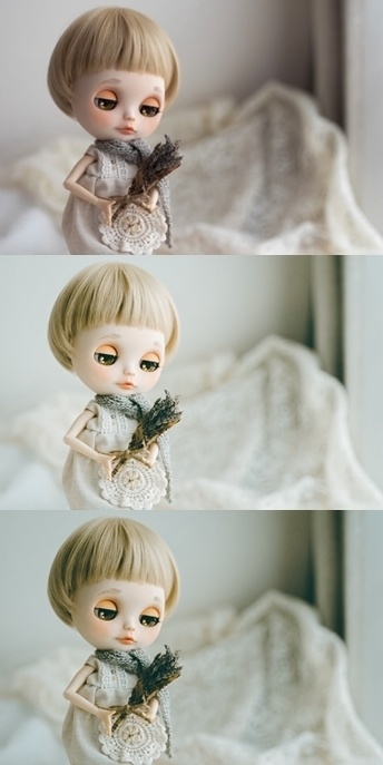 Lightroomプリセット(PC版)pafi_001・pafi_002