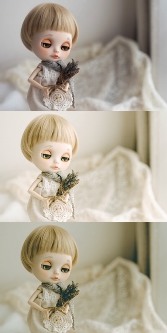 Lightroomプリセット(PC版)pafi_003・pafi_004