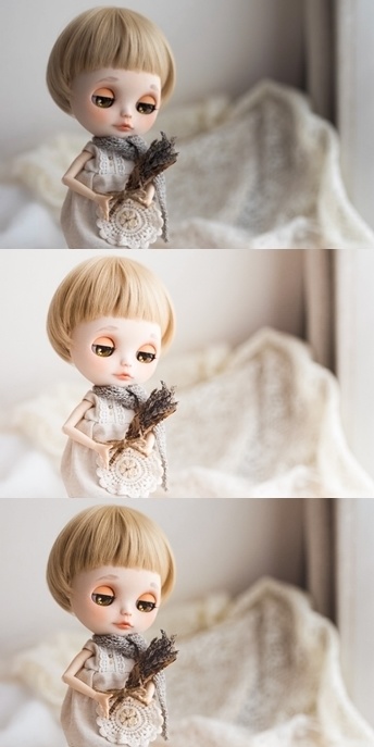 Lightroomプリセット(PC版)pafi_005・pafi_006