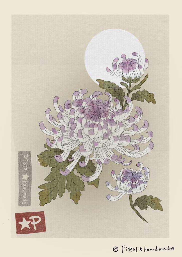 Chrysanthemum and Night Sky 【ダウンロード販売】