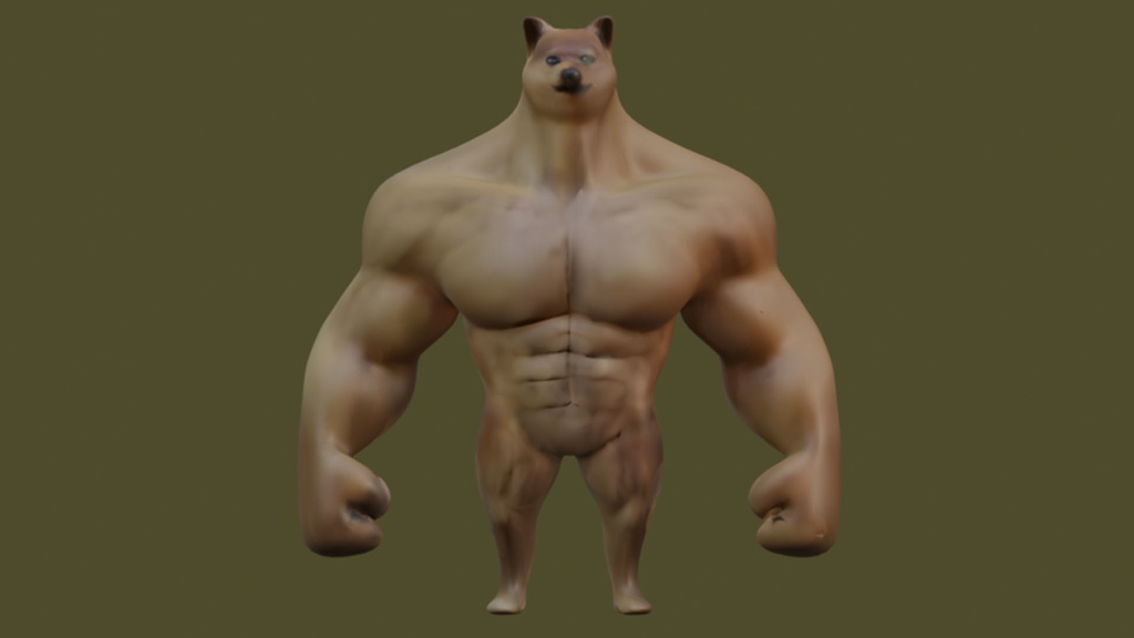 Muscle shiba