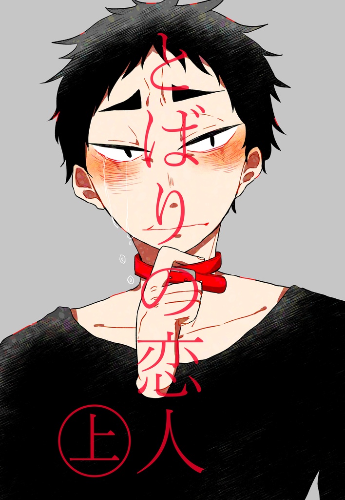とばりの恋人㊤