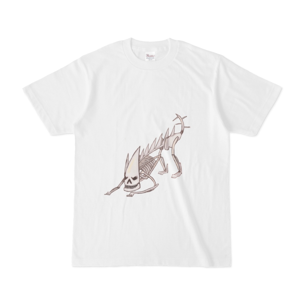 謎スケルトンT２