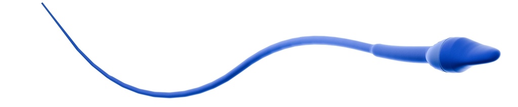 （背景白色）（低画質）ヒト精子の3Dイラスト。精子は青い。