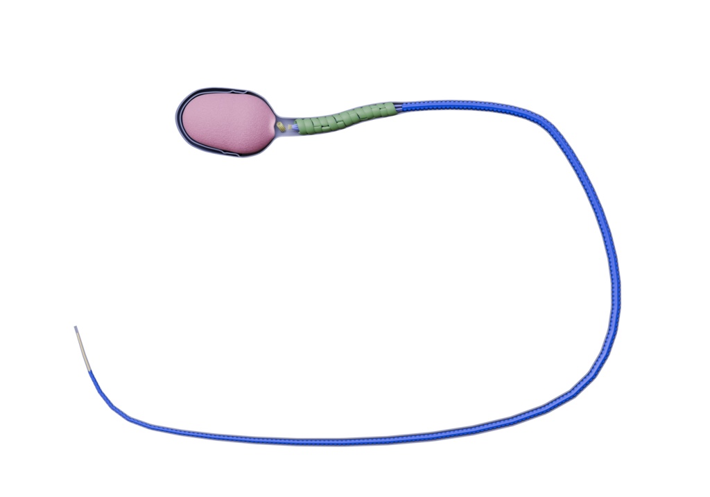 （透過素材）ヒト精子の3Dイラスト。精子の解剖図。