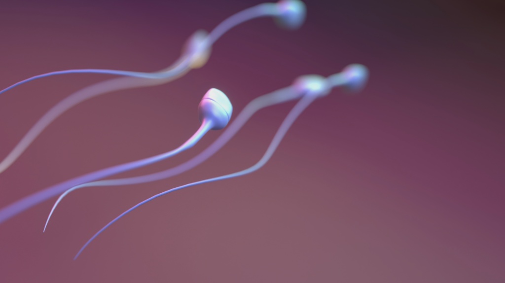 3D animation of human sperm move forward by spinning
