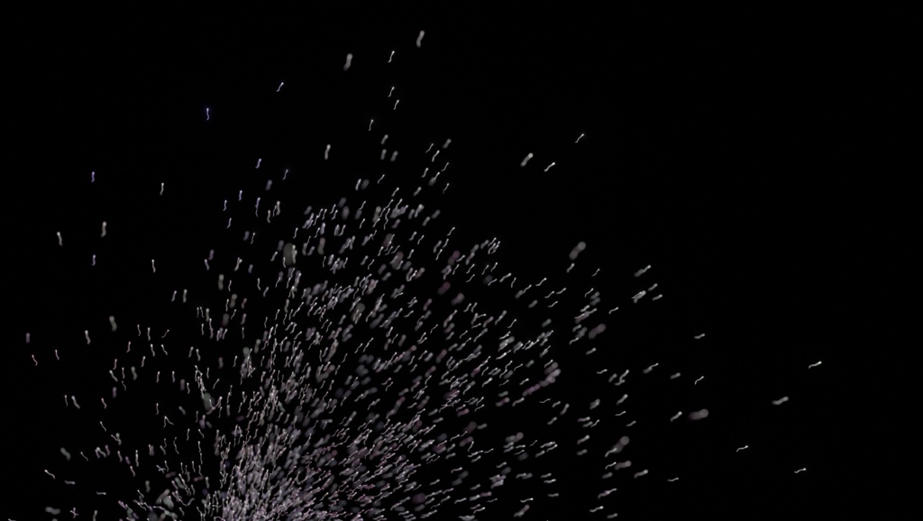 3D animation of sperm crowd