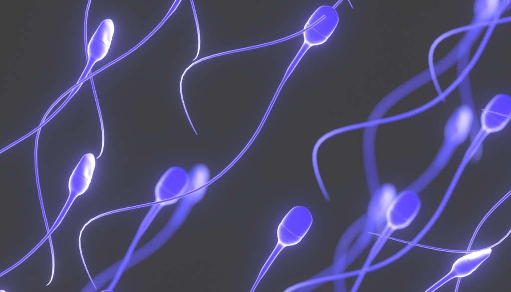 3D animation of sperm swimming up one after another