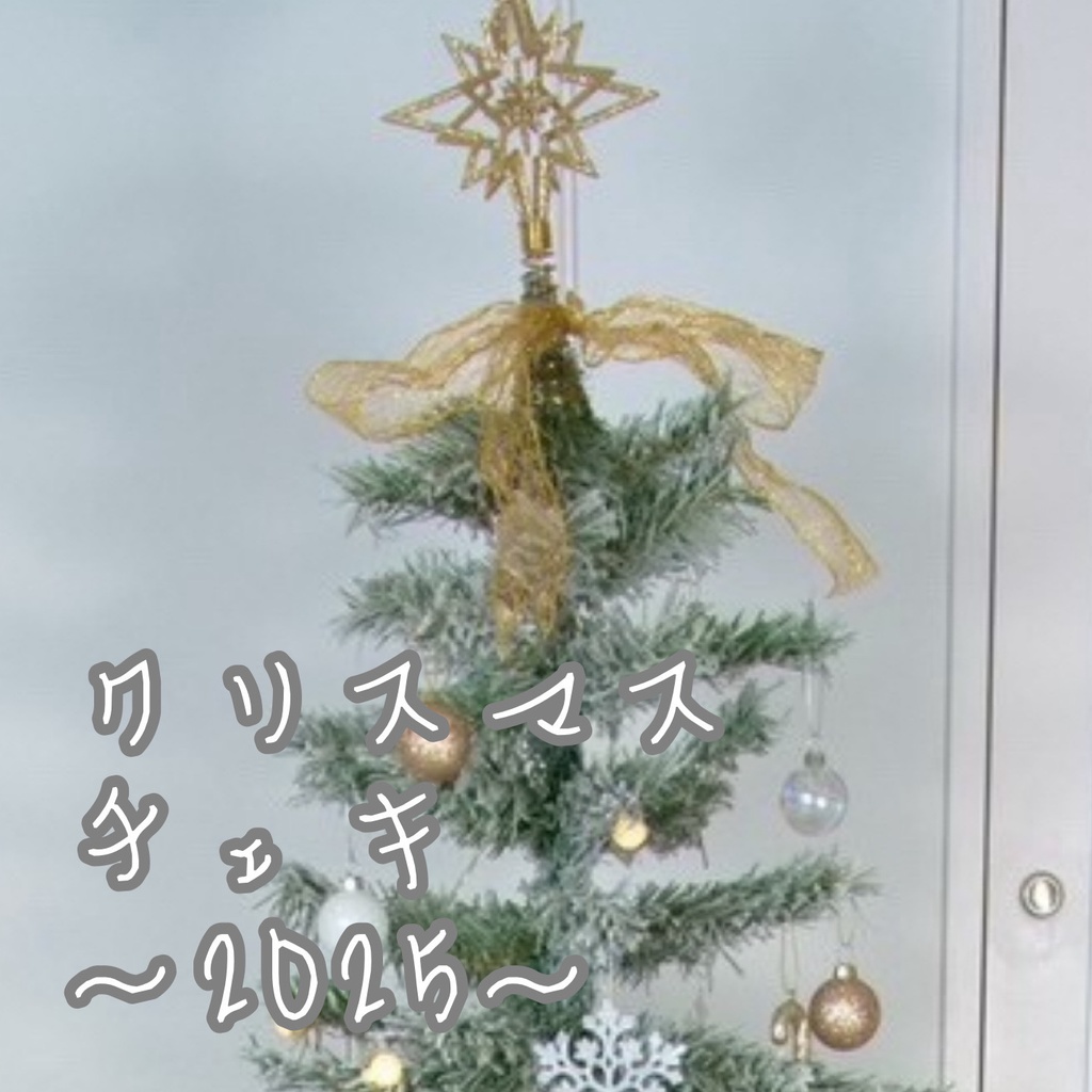 クリスマスチェキ