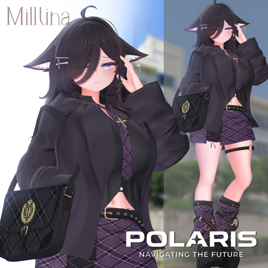 ポラリス『3Dモデル』【SALE中】