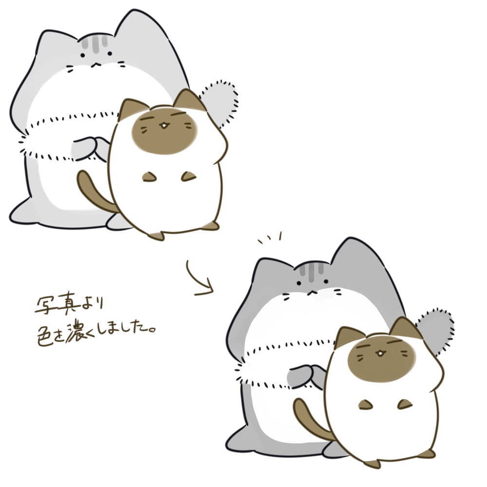 しゃむとのるうぇいアクキー