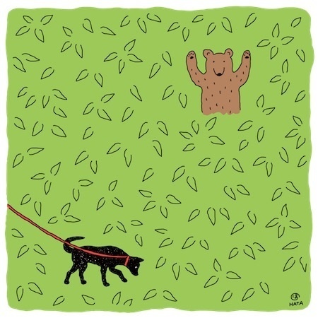 散歩してたらクマに会った