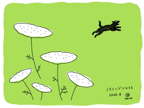 ノラニンジンとトト