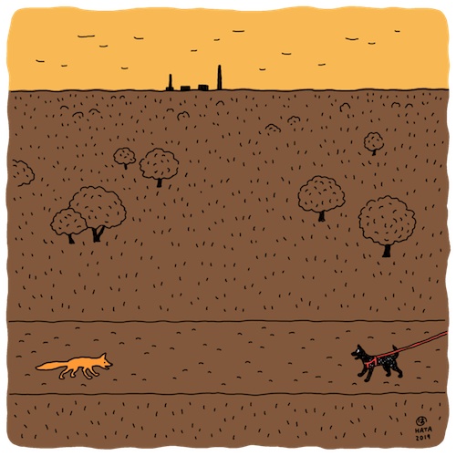 勇払原野で発電所とキツネを見た