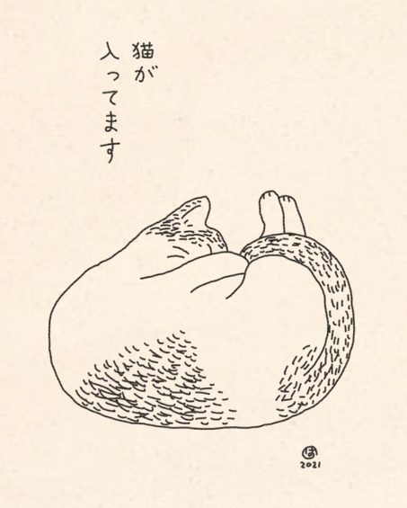 猫が入ってます
