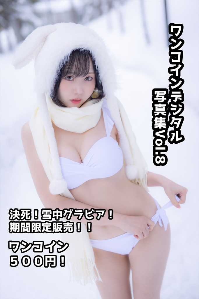 「月間夜道雪」デジタル写真集Vol.８　SNOW BUNNY