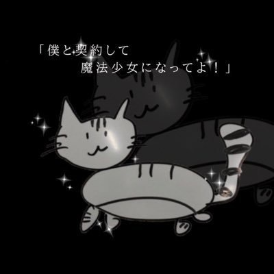 魔法少女になり隊な