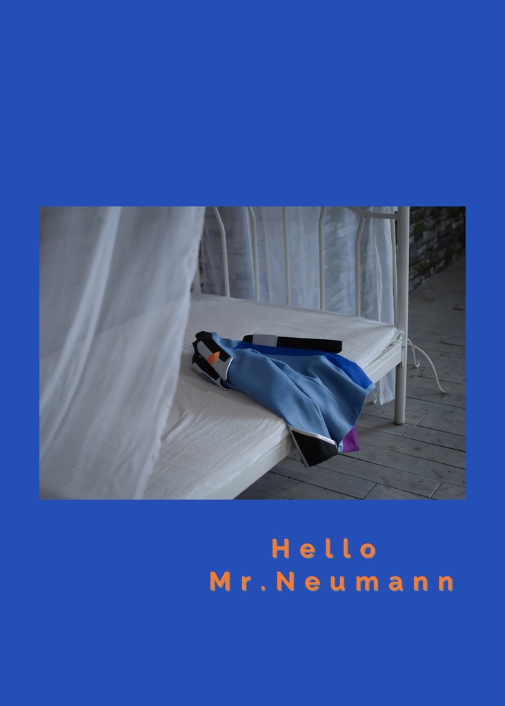 Hello Mr.Neumann